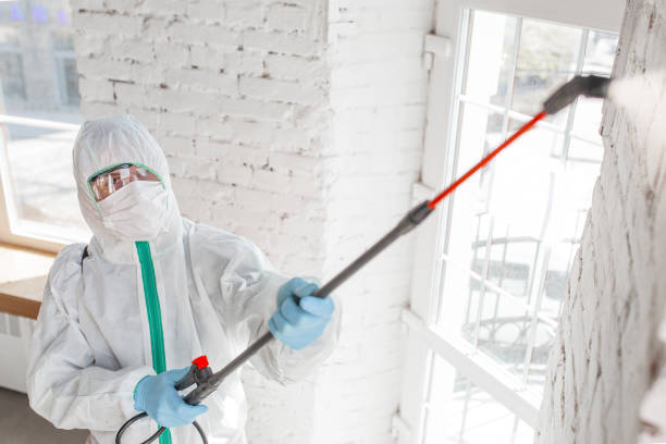 Best Mold Remediation for Healthcare Facilities  in Pleasant Prairie, WI