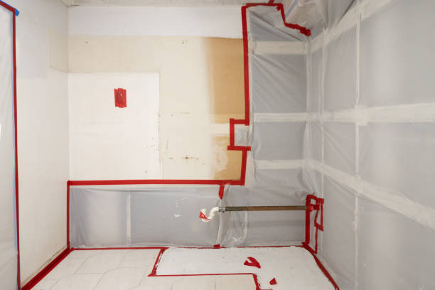 Best Mold Prevention Services  in Pleasant Prairie, WI