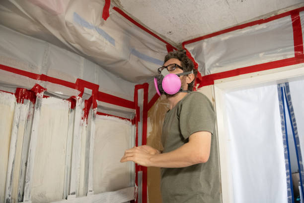 Best Mold Remediation for Vacation Homes  in Pleasant Prairie, WI