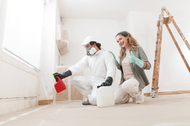 Best Black Mold Removal  in Pleasant Prairie, WI